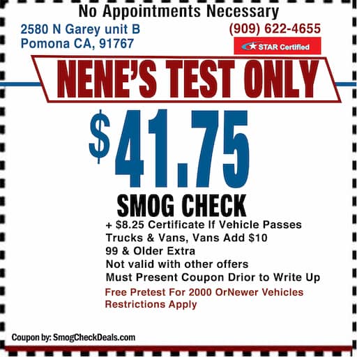NeneS Test Only NeneS Test Only